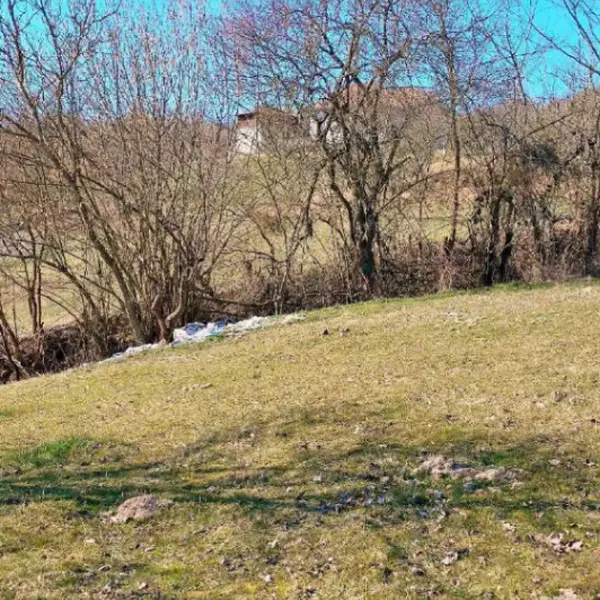 Teren – De Vânzare – Bujoreni – metri patrati – Teren de Vânzare în Bogdănești, Vâlcea! 0772 203 164 – Alina Cozma.