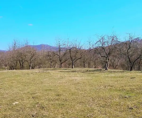 Teren – De Vânzare – Bujoreni – metri patrati – Teren de Vânzare în Bogdănești, Vâlcea! 0772 203 164 – Alina Cozma.