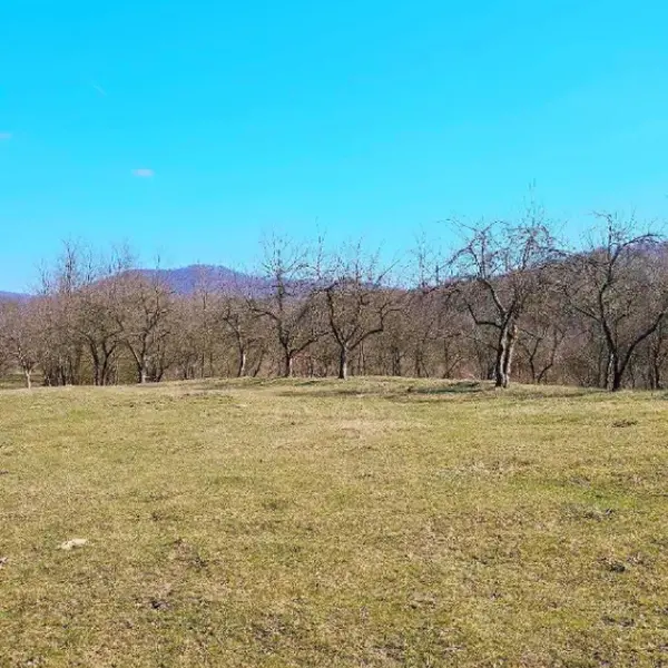 Teren – De Vânzare – Bujoreni – metri patrati – Teren de Vânzare în Bogdănești, Vâlcea! 0772 203 164 – Alina Cozma.