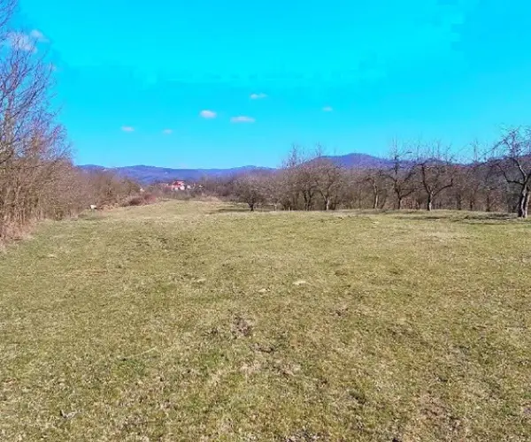Teren – De Vânzare – Bujoreni – metri patrati – Teren de Vânzare în Bogdănești, Vâlcea! 0772 203 164 – Alina Cozma.