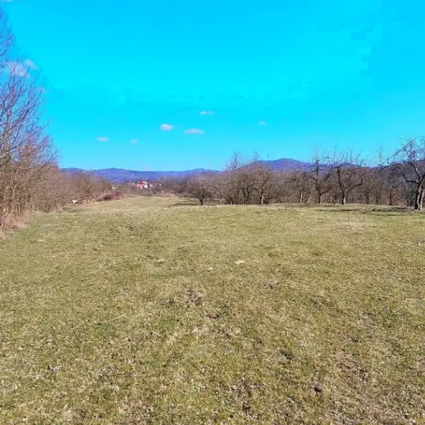 Teren – De Vânzare – Bujoreni – metri patrati – Teren de Vânzare în Bogdănești, Vâlcea! 0772 203 164 – Alina Cozma.