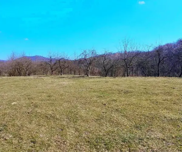 Teren – De Vânzare – Bujoreni – metri patrati – Teren de Vânzare în Bogdănești, Vâlcea! 0772 203 164 – Alina Cozma.