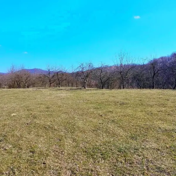 Teren – De Vânzare – Bujoreni – metri patrati – Teren de Vânzare în Bogdănești, Vâlcea! 0772 203 164 – Alina Cozma.