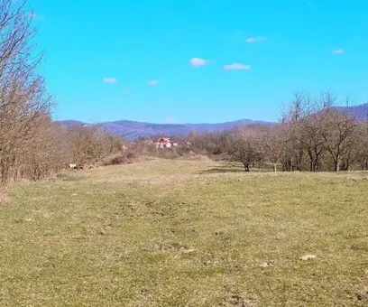 Teren – De Vânzare – Bujoreni – metri patrati – Teren de Vânzare în Bogdănești, Vâlcea! 0772 203 164 – Alina Cozma.