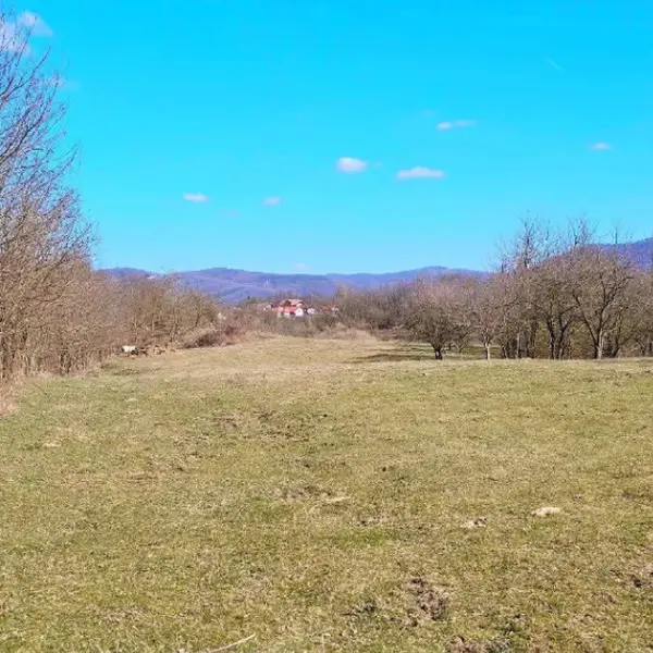 Teren – De Vânzare – Bujoreni – metri patrati – Teren de Vânzare în Bogdănești, Vâlcea! 0772 203 164 – Alina Cozma.