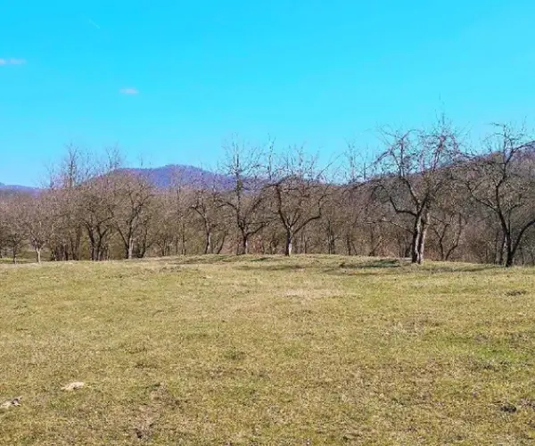 Teren – De Vânzare – Bujoreni – metri patrati – Teren de Vânzare în Bogdănești, Vâlcea! 0772 203 164 – Alina Cozma.