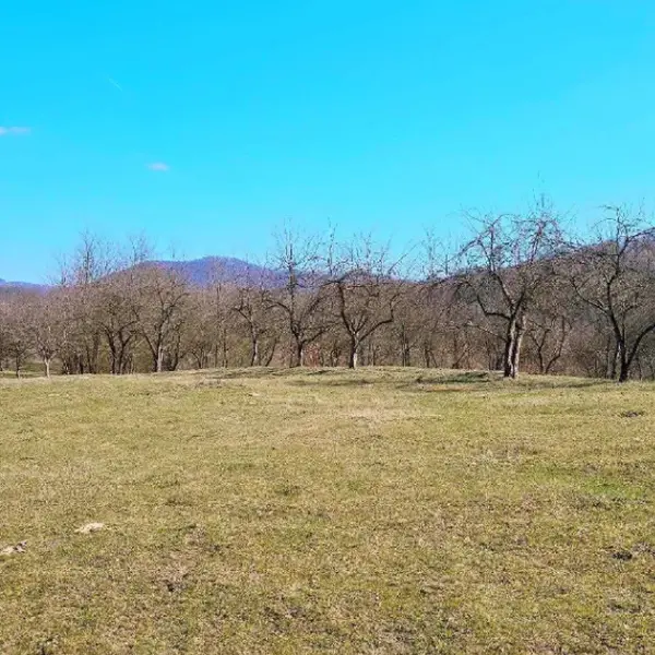 Teren – De Vânzare – Bujoreni – metri patrati – Teren de Vânzare în Bogdănești, Vâlcea! 0772 203 164 – Alina Cozma.