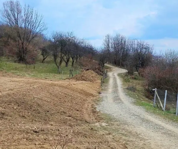 Teren – De Vânzare – Vlădești – metri patrati – ❤️Teren De Vânzare În Vlădești! 0772 203 164 -Alina Cozma : 25 Euro/mp