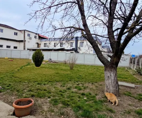 Casă – De Vânzare – Râmnicu Vâlcea – 4 – camere – Oportunitate Imobiliară De Excepție – Casă Cu Teren Generos În Proximitatea Orașului Râmnicu Vâlcea!