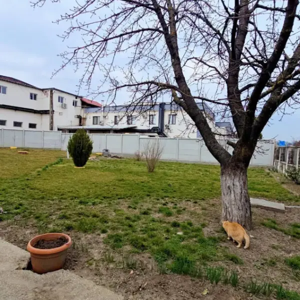 Casă – De Vânzare – Râmnicu Vâlcea – 4 – camere – Oportunitate Imobiliară De Excepție – Casă Cu Teren Generos În Proximitatea Orașului Râmnicu Vâlcea!