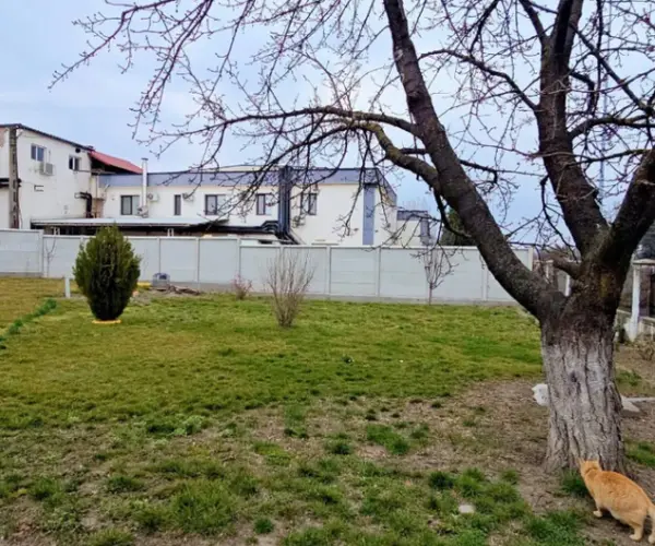 Casă – De Vânzare – Râmnicu Vâlcea – 4 – camere – Oportunitate Imobiliară De Excepție – Casă Cu Teren Generos În Proximitatea Orașului Râmnicu Vâlcea!