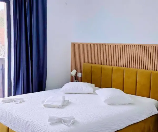 HoReCa – De Vânzare – Călimănești – 16 – camere – INVESTIȚIE PREMIUM ÎN INIMA STAȚIUNII CĂCIULATA – PENSIUNE CĂCIULATA +4⭐ Preț 1.850.000 E