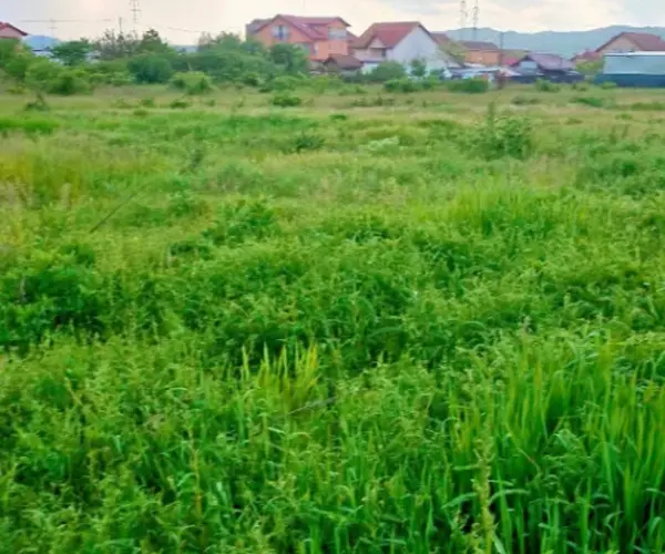 Teren – De Vânzare – Râmnicu Vâlcea – metri patrati – TEREN DE VÂNZARE – VÂLCEA – RÂURENI 60.000 Euro Suprafață Teren 3740 mp! 0772 203 164- Alina Cozma