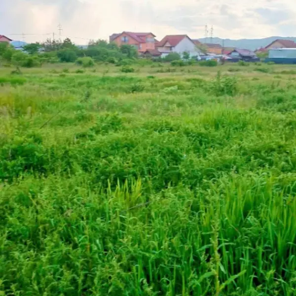 Teren – De Vânzare – Râmnicu Vâlcea – metri patrati – TEREN DE VÂNZARE – VÂLCEA – RÂURENI 60.000 Euro Suprafață Teren 3740 mp! 0772 203 164- Alina Cozma