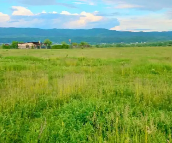 Teren – De Vânzare – Râmnicu Vâlcea – metri patrati – TEREN DE VÂNZARE – VÂLCEA – RÂURENI 60.000 Euro Suprafață Teren 3740 mp! 0772 203 164- Alina Cozma