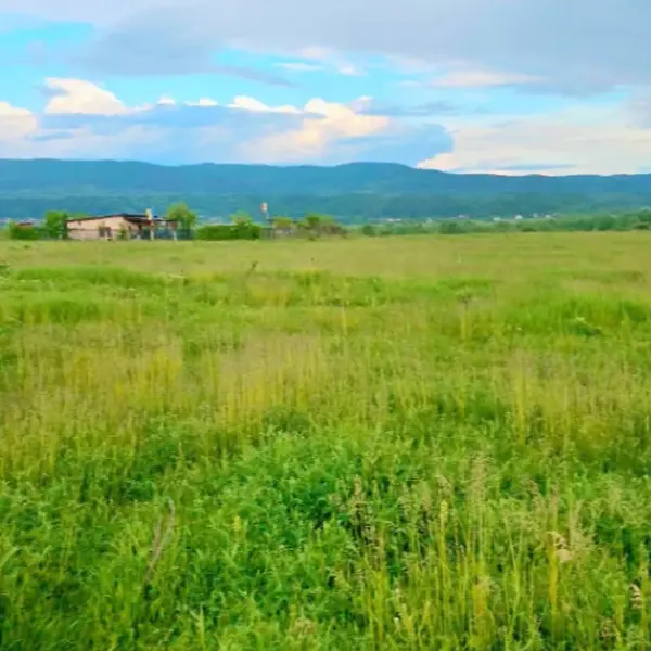 Teren – De Vânzare – Râmnicu Vâlcea – metri patrati – TEREN DE VÂNZARE – VÂLCEA – RÂURENI 60.000 Euro Suprafață Teren 3740 mp! 0772 203 164- Alina Cozma