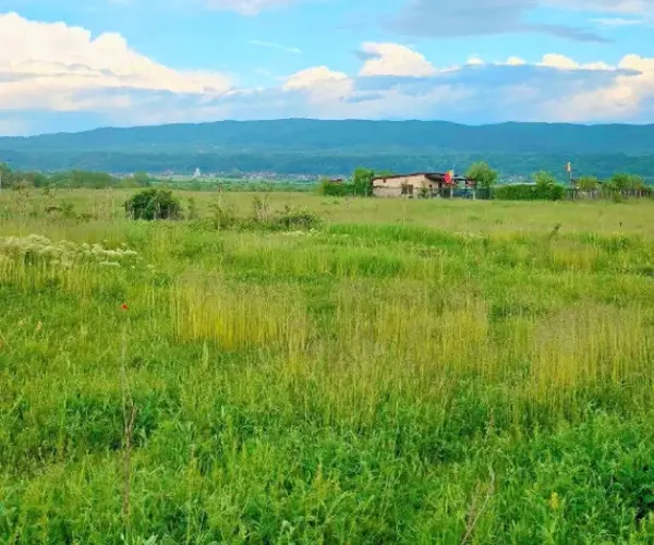 Teren – De Vânzare – Râmnicu Vâlcea – metri patrati – TEREN DE VÂNZARE – VÂLCEA – RÂURENI 60.000 Euro Suprafață Teren 3740 mp! 0772 203 164- Alina Cozma