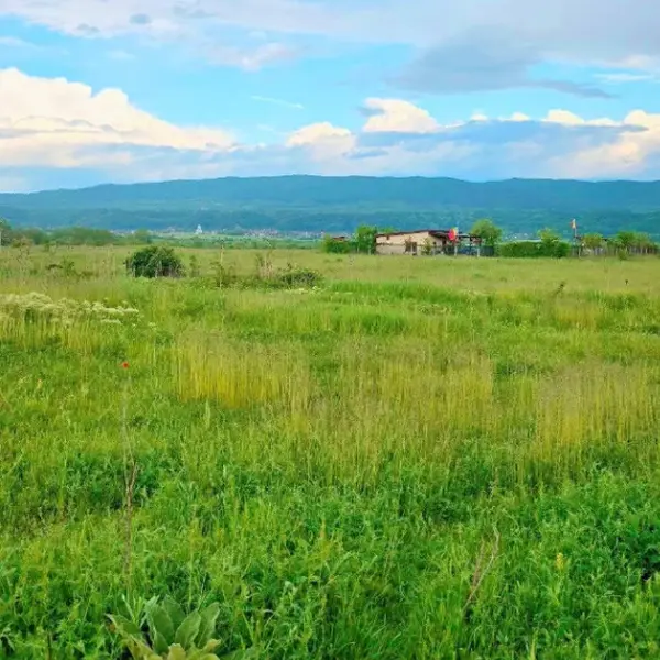 Teren – De Vânzare – Râmnicu Vâlcea – metri patrati – TEREN DE VÂNZARE – VÂLCEA – RÂURENI 60.000 Euro Suprafață Teren 3740 mp! 0772 203 164- Alina Cozma