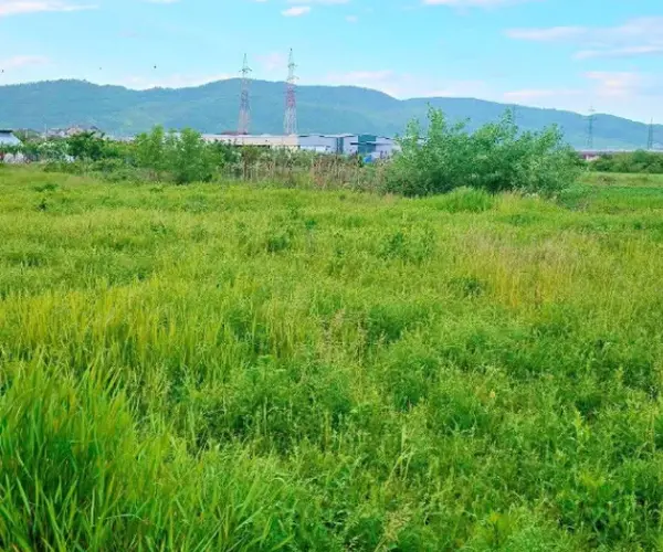 Teren – De Vânzare – Râmnicu Vâlcea – metri patrati – TEREN DE VÂNZARE – VÂLCEA – RÂURENI 60.000 Euro Suprafață Teren 3740 mp! 0772 203 164- Alina Cozma