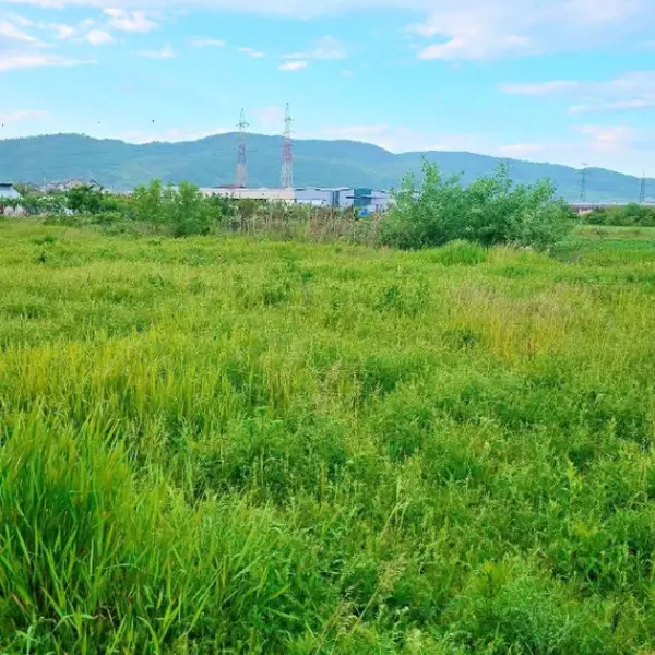 Teren – De Vânzare – Râmnicu Vâlcea – metri patrati – TEREN DE VÂNZARE – VÂLCEA – RÂURENI 60.000 Euro Suprafață Teren 3740 mp! 0772 203 164- Alina Cozma