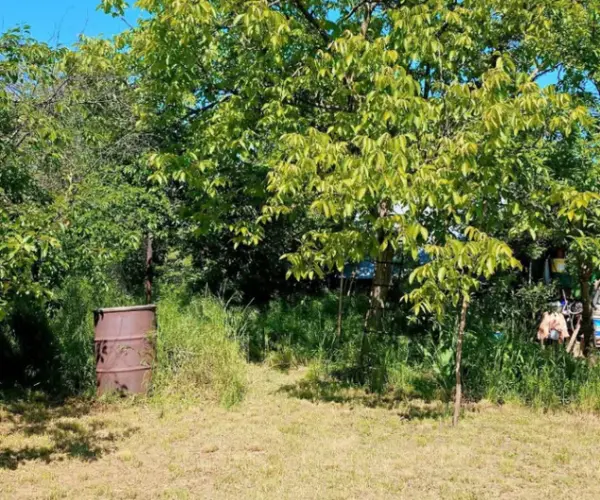Teren – De Vânzare – Râmnicu Vâlcea – metri patrati – Teren Intravilan de Vânzare în – Zona Ostroveni!❤️💰 Preț: 143.000 Euro 0772 203 164 – Alina Cozma