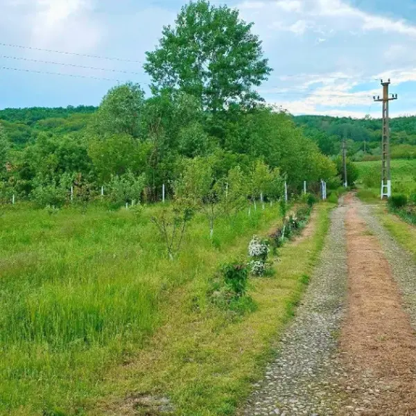 Teren – De Vânzare – Ionești – metri patrati – Oportunitate de Excepție – Teren de Vânzare în Ionești, Vâlcea! 49.500 E 0772 203 164 – Alina Cozma