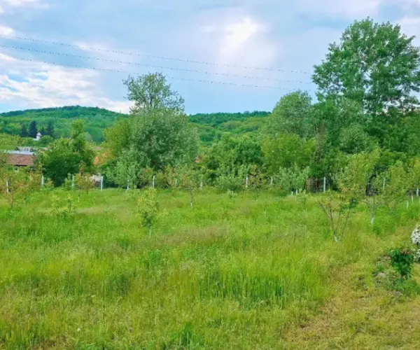 Teren – De Vânzare – Ionești – metri patrati – Oportunitate de Excepție – Teren de Vânzare în Ionești, Vâlcea! 49.500 E 0772 203 164 – Alina Cozma