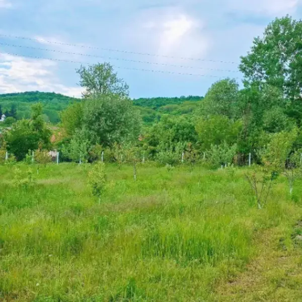Teren – De Vânzare – Ionești – metri patrati – Oportunitate de Excepție – Teren de Vânzare în Ionești, Vâlcea! 49.500 E 0772 203 164 – Alina Cozma