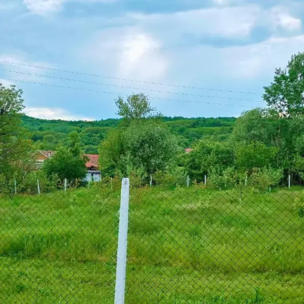 Teren – De Vânzare – Ionești – metri patrati – Oportunitate de Excepție – Teren de Vânzare în Ionești, Vâlcea! 49.500 E 0772 203 164 – Alina Cozma