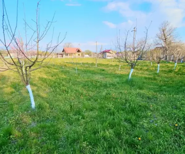 Teren – De Vânzare – Ionești – metri patrati – Oportunitate EXCEPȚIONALĂ de Investiție – Teren în Ionești, VL 165.000 E 0772 203 164 – Alina