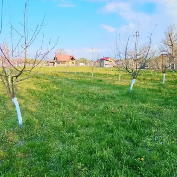 Teren – De Vânzare – Ionești – metri patrati – Oportunitate EXCEPȚIONALĂ de Investiție – Teren în Ionești, VL 165.000 E 0772 203 164 – Alina