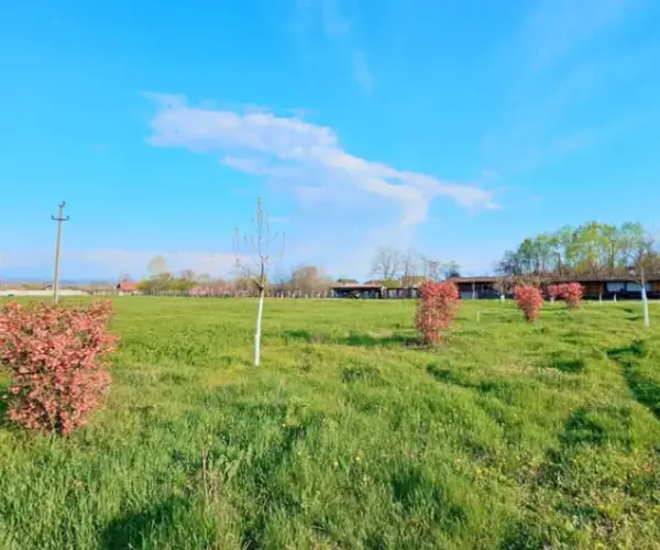 Teren – De Vânzare – Ionești – metri patrati – Oportunitate EXCEPȚIONALĂ de Investiție – Teren în Ionești, VL 165.000 E 0772 203 164 – Alina
