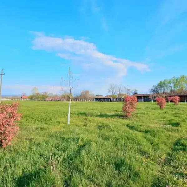 Teren – De Vânzare – Ionești – metri patrati – Oportunitate EXCEPȚIONALĂ de Investiție – Teren în Ionești, VL 165.000 E 0772 203 164 – Alina