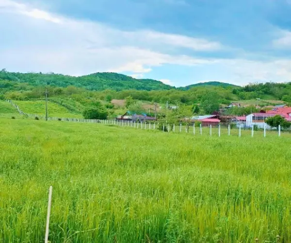 Teren – De Vânzare – Ionești – metri patrati – Oportunitate EXCEPȚIONALĂ de Investiție – Teren în Ionești, VL 165.000 E 0772 203 164 – Alina