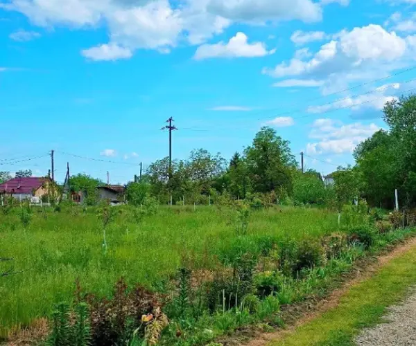 Teren – De Vânzare – Ionești – metri patrati – Oportunitate EXCEPȚIONALĂ de Investiție – Teren în Ionești, VL 165.000 E 0772 203 164 – Alina