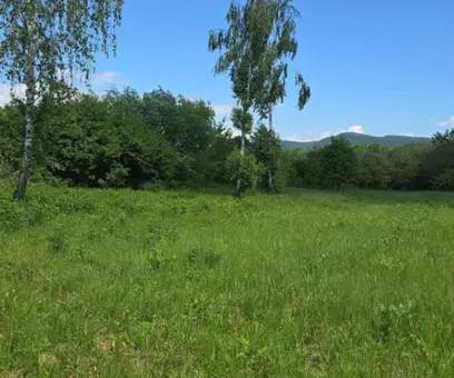 Teren – De Vânzare – Bujoreni – metri patrati – Oportunitate Rară, Teren Intravilan de Vânzare în Bujoreni, Sat Olteni! 60.000 E 0772 203 164