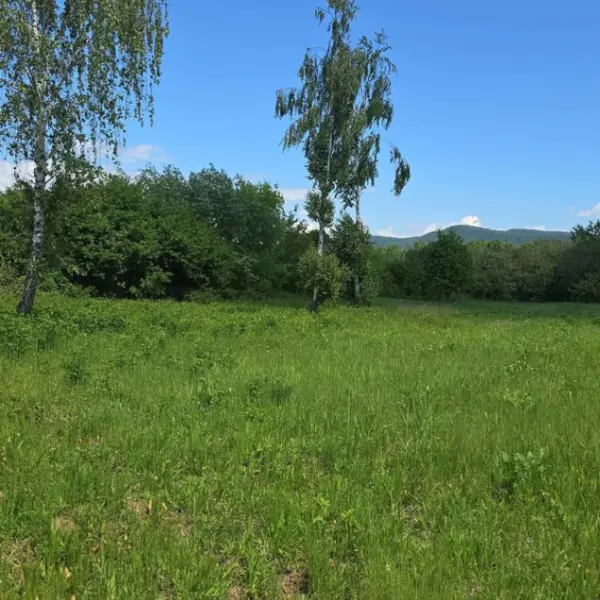 Teren – De Vânzare – Bujoreni – metri patrati – Oportunitate Rară, Teren Intravilan de Vânzare în Bujoreni, Sat Olteni! 60.000 E 0772 203 164