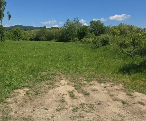 Teren – De Vânzare – Bujoreni – metri patrati – Oportunitate Rară, Teren Intravilan de Vânzare în Bujoreni, Sat Olteni! 60.000 E 0772 203 164