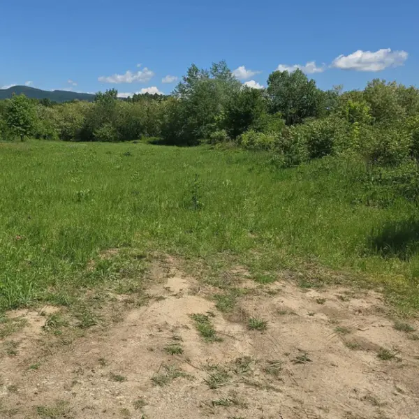 Teren – De Vânzare – Bujoreni – metri patrati – Oportunitate Rară, Teren Intravilan de Vânzare în Bujoreni, Sat Olteni! 60.000 E 0772 203 164