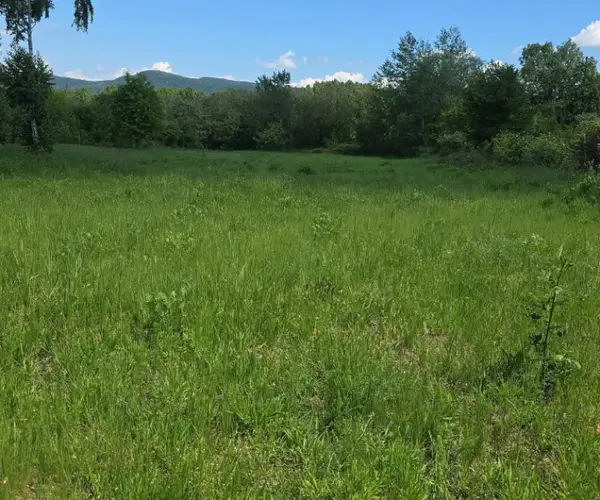 Teren – De Vânzare – Bujoreni – metri patrati – Oportunitate Rară, Teren Intravilan de Vânzare în Bujoreni, Sat Olteni! 60.000 E 0772 203 164