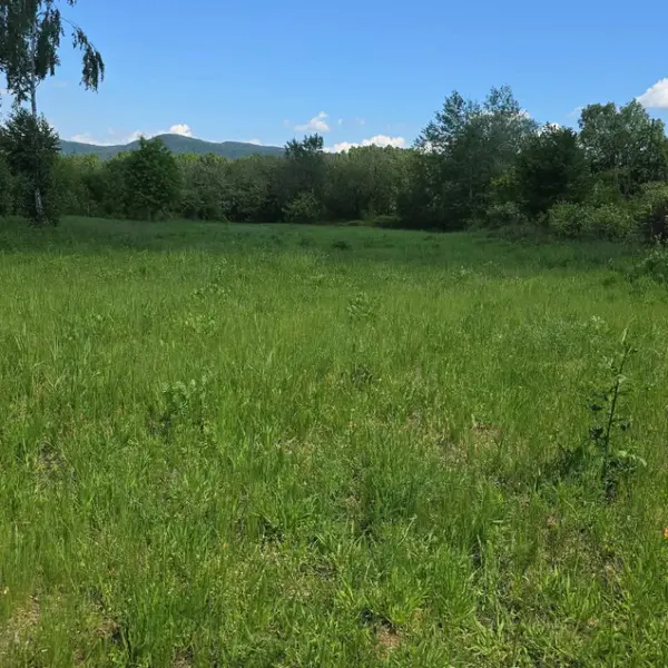 Teren – De Vânzare – Bujoreni – metri patrati – Oportunitate Rară, Teren Intravilan de Vânzare în Bujoreni, Sat Olteni! 60.000 E 0772 203 164