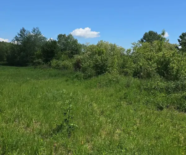 Teren – De Vânzare – Bujoreni – metri patrati – Oportunitate Rară, Teren Intravilan de Vânzare în Bujoreni, Sat Olteni! 60.000 E 0772 203 164