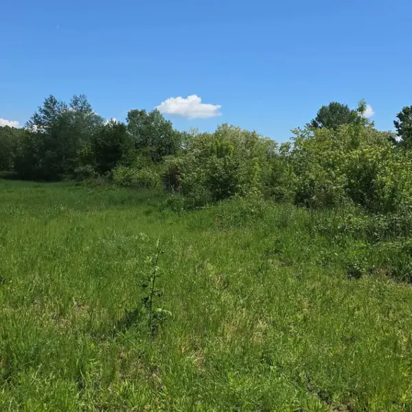 Teren – De Vânzare – Bujoreni – metri patrati – Oportunitate Rară, Teren Intravilan de Vânzare în Bujoreni, Sat Olteni! 60.000 E 0772 203 164