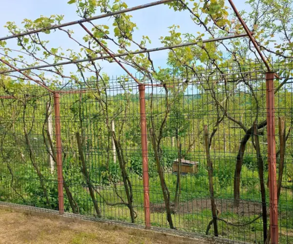 Casă – De Vânzare – Golești – 3 – camere – DE VÂNZARE! Casă + Teren în Comuna Golești, Sat Opătești, Județul Vâlcea!