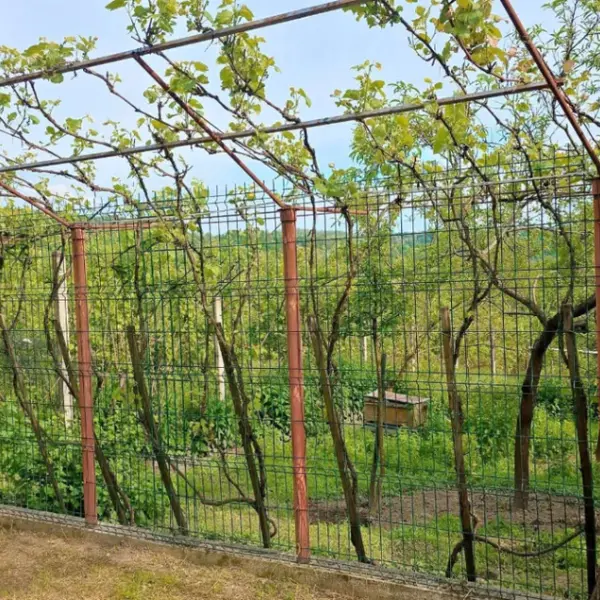 Casă – De Vânzare – Golești – 3 – camere – DE VÂNZARE! Casă + Teren în Comuna Golești, Sat Opătești, Județul Vâlcea!