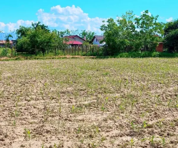 Teren – De Vânzare – Olanu – metri patrati – OPORTUNITATE RARĂ DE INVESTIȚIE – TEREN GENEROS ÎN OLANU, SAT CIOBOȚI, JUD. VL.!❤️ Preț 36.600 Euro