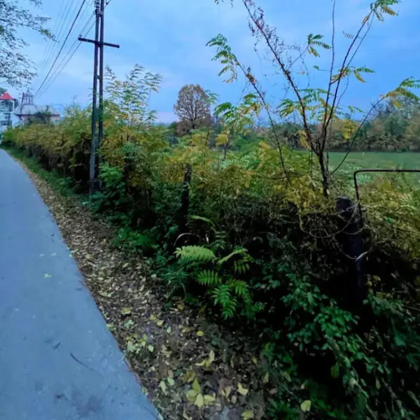 Teren – De Vânzare – Mihăești – metri patrati – TEREN DE VÂNZARE ÎN MIHĂEȘTI, JUDEȚUL VÂLCEA! Preț 66.250 Euro
