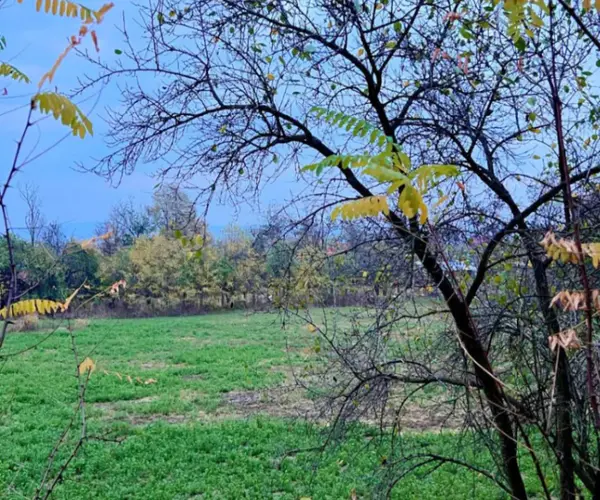 Teren – De Vânzare – Mihăești – metri patrati – TEREN DE VÂNZARE ÎN MIHĂEȘTI, JUDEȚUL VÂLCEA! Preț 66.250 Euro