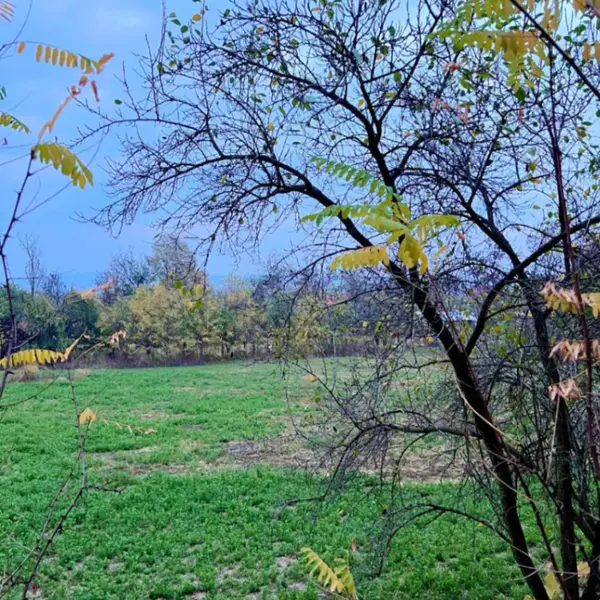Teren – De Vânzare – Mihăești – metri patrati – TEREN DE VÂNZARE ÎN MIHĂEȘTI, JUDEȚUL VÂLCEA! Preț 66.250 Euro