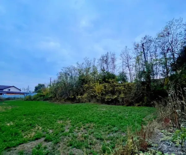 Teren – De Vânzare – Mihăești – metri patrati – TEREN DE VÂNZARE ÎN MIHĂEȘTI, JUDEȚUL VÂLCEA! Preț 66.250 Euro
